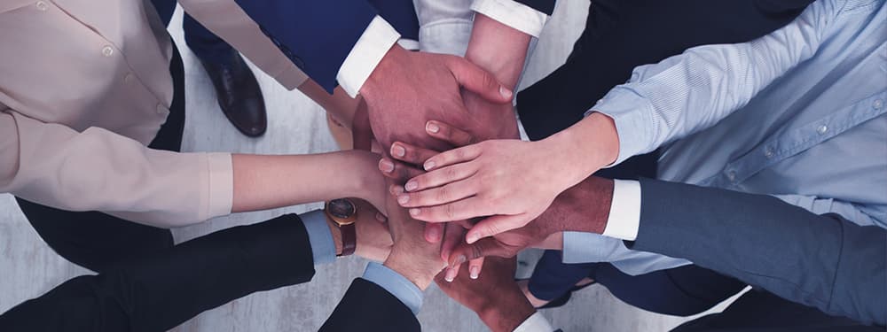 Optimum Groupe financier fait rayonner sa culture de talents Optimum Groupe financier fait rayonner sa culture de talents