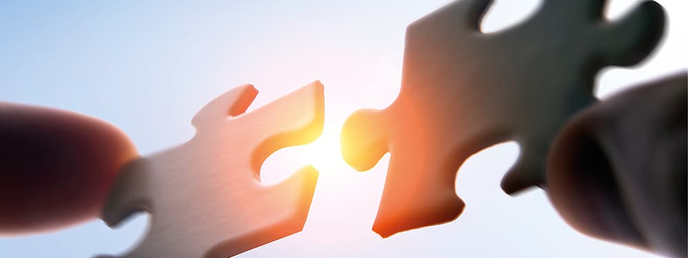 Optimum Groupe financier étend ses activités de gestion d’actifs aux États-Unis Optimum Groupe financier étend ses activités de gestion d’actifs aux États-Unis