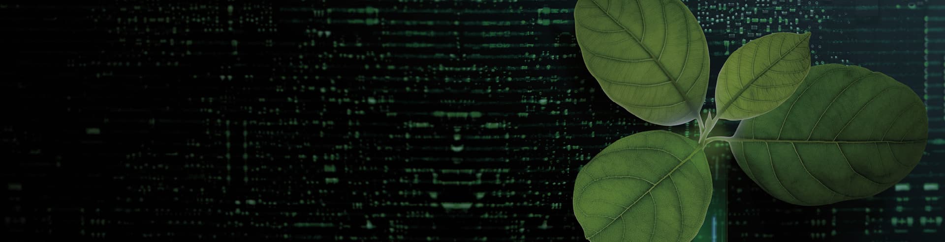 Optimum Groupe financier a signifié son intérêt envers le Fonds Investi de Finance Montréal Optimum Groupe financier a signifié son intérêt envers le Fonds Investi de Finance Montréal